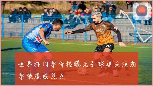 世界杯门票价格曝光引球迷关注购票渠道成焦点