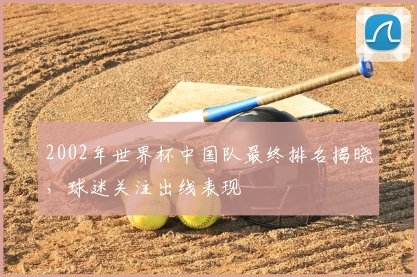 2002年世界杯中国队最终排名揭晓，球迷关注出线表现