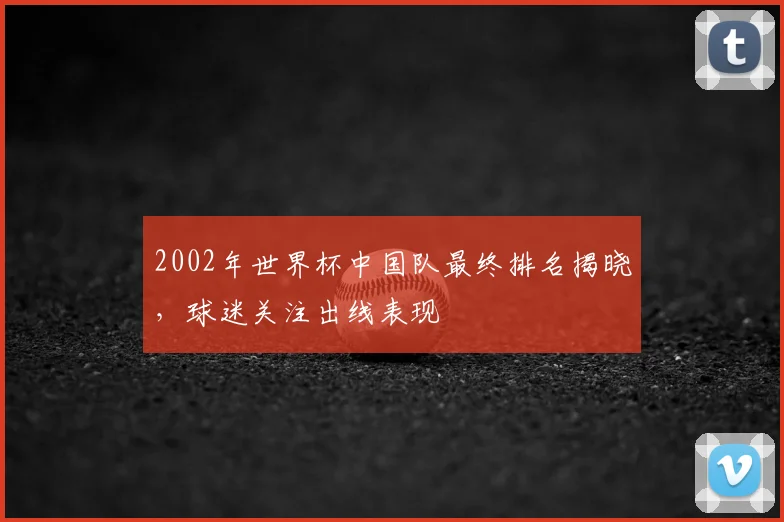 2002年世界杯中国队最终排名揭晓,球迷关注出线表现