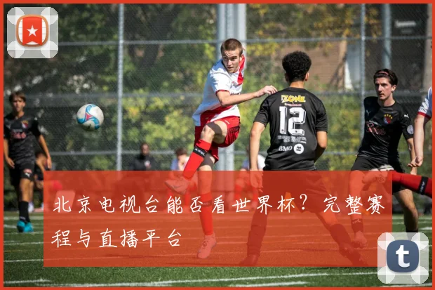 北京电视台能否看世界杯？完整赛程与直播平台