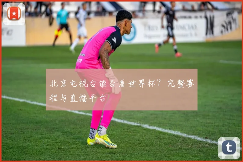 北京电视台能否看世界杯？完整赛程与直播平台
